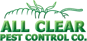 All Clear Pest Control Medford MA | Termite Specialist | General Pest Control